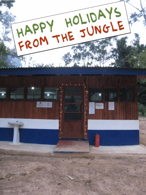 Happy Holidays from the Jungle