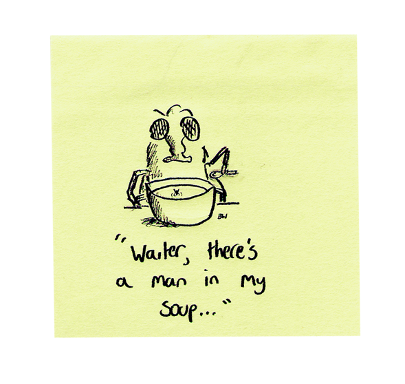 true story… Fly Soup