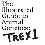 Animal Genetics pt.1